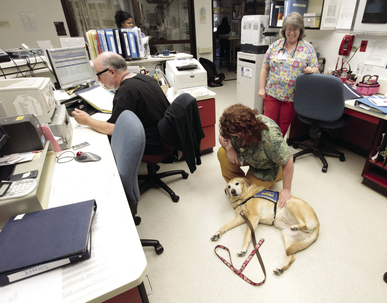 Therapy dog